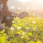 nature, app, rural, field, outdoors, smart farming company, in ksa, ammc